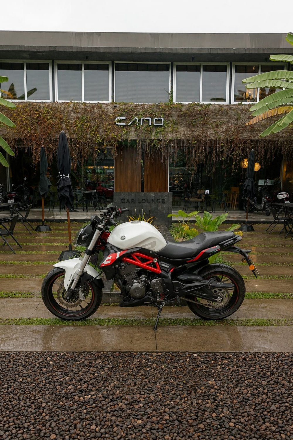 Benelli 302S